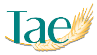 logo_tae.png